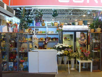 ���� 2007