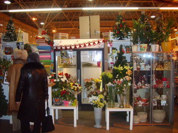 ���� 2007